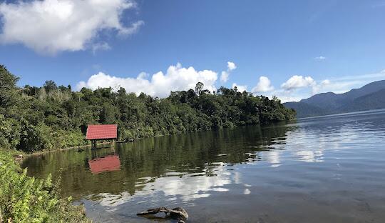 foto foto